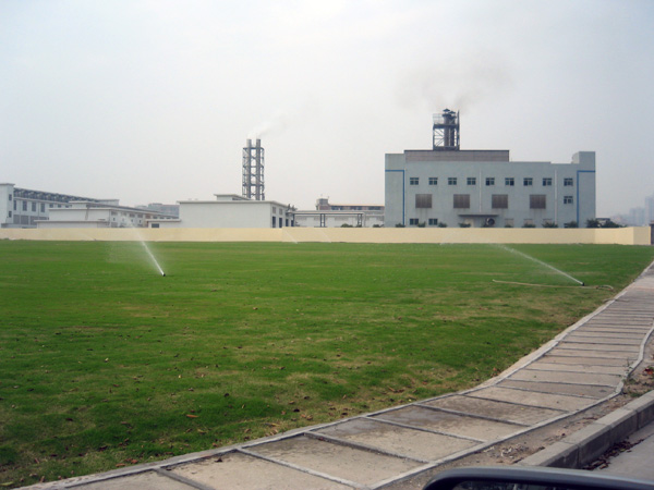 新興集團